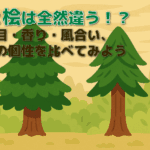 「杉と桧は全然違う！？」のサムネイル